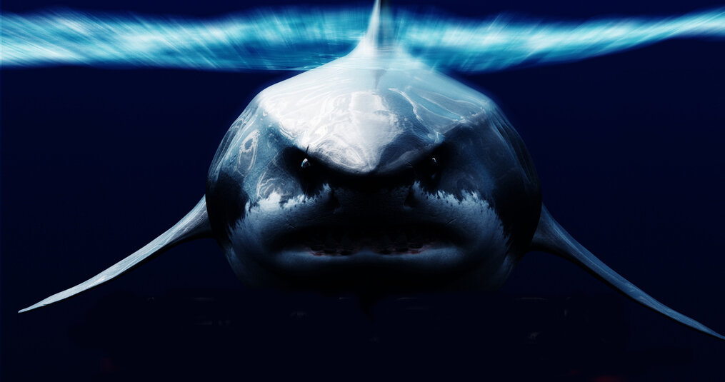 Can the Megalodon ever return?