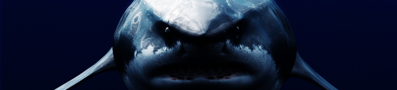 Can the Megalodon ever return?