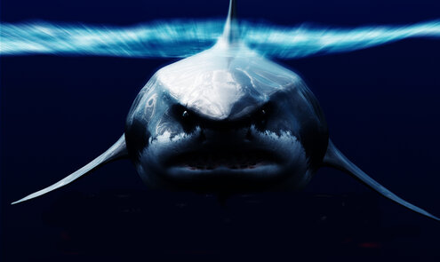 Il Megalodon potrà mai tornare?