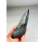 Dente di Megalodon "Darkness Overpowers " (USA) - 14,7 cm