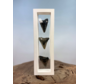 Dent de mégalodon   "The Wise Ones" | 3D frame | 30x10cm