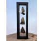 Megalodon Tandenset "Broken Treasures" | 3D frame | 30x10cm