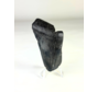 Megalodon tooth "The Abnormal" (US) - 7,9 cm