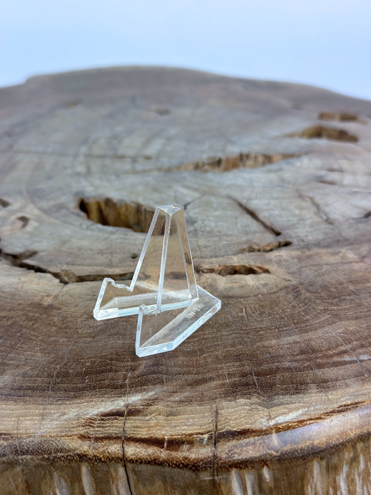 Espositore pratico per denti di Megalodon