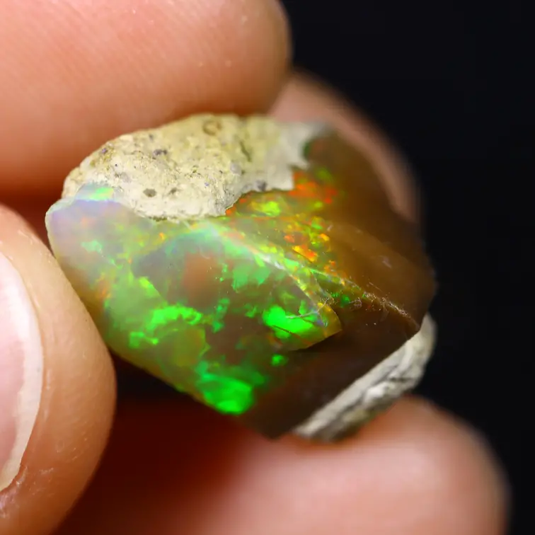 Äthiopischer Welo-Opal in Rohform - „Alternate Forest" - (15 x 12 x 8 mm - 9,6 Karat) - POC-0734