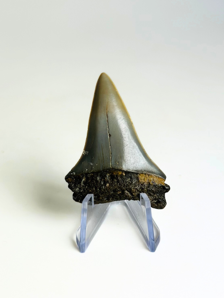 Hai-Zahn "Wraith" | 4,6 cm