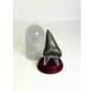 Dent de Requin "Michael" | 4,8 cm