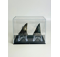 Denti di squalo "Fear Couple" | 4,1 cm