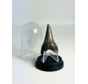 Dente di  Squalo ""Sable" | 4,8 cm