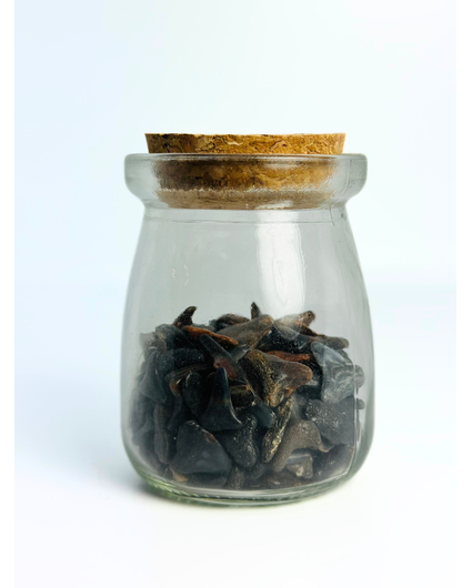 Bouteille avec des dents de requin de Venice Beach