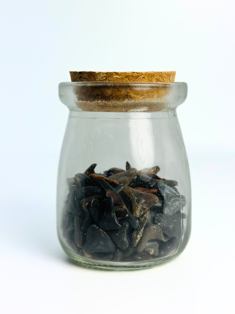 Bottle with Venice Beach shark teeth