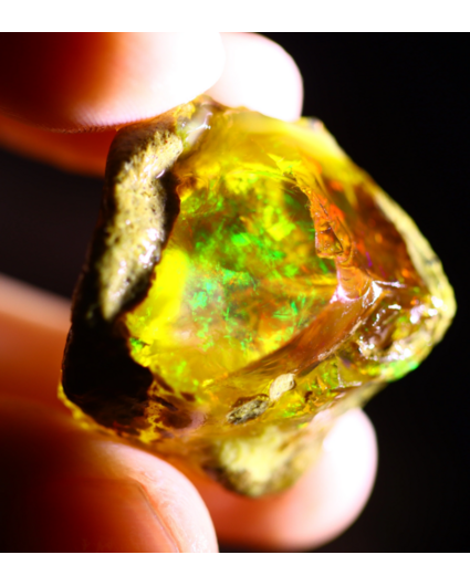 Ruwe Ethiopische Welo - Kristal Opaal - "Connected Forest" - (27 x 27 x 17 mm - 53,8 karaat)