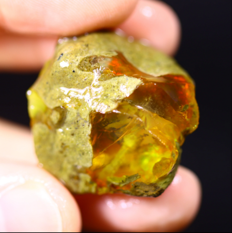 Raw Ethiopian Welo - Crystal Opal - ‘Connected Forest" - (27 x 27 x 17 mm - 53,8 carats)