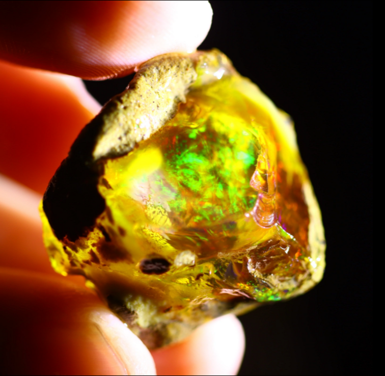 Welo grezzo etiope - Opale cristallo - “Connected Forest" - (27 x 27 x 17 mm - 53,8 carati)