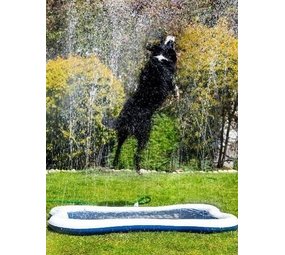 Quapas Quapas Dog Splash Quapas Quapas Dog Splash