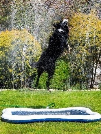 Quapas Quapas Dog Splash-Wassermatte Quapas Quapas Dog Splash-Wassermatte