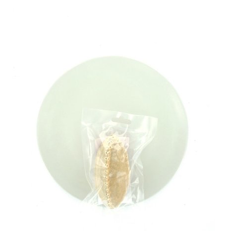 mypetworld Rugbybal 1st mypetworld Rugbybal 1st