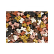 mypetworld Minitrainers 500g mypetworld Minitrainers 500g