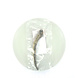 mypetworld Hertengewei S (50-75g) 1st mypetworld Hertengewei S (50-75g) 1st
