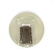 mypetworld 100% paardensticks 125g mypetworld 100% paardensticks 125g