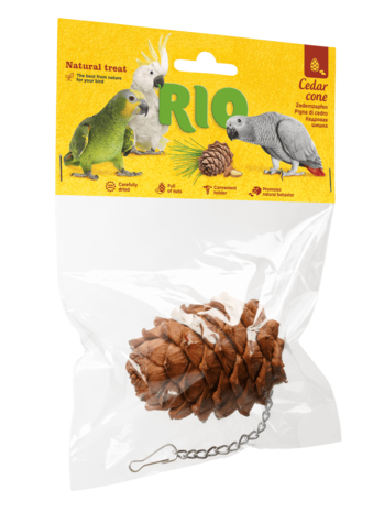 RIO Zedernzapfen. Naturleckerli für Vögel, 1 Stück RIO Zedernzapfen. Naturleckerli für Vögel, 1 Stück