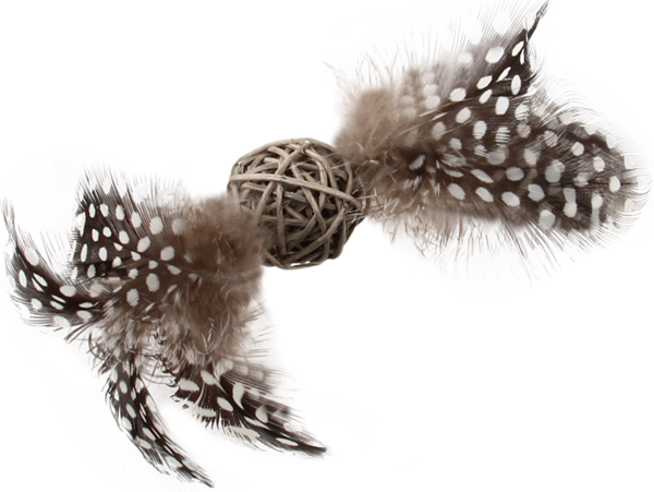 GiGwi ECO LINE Rattle Wood With Feathers