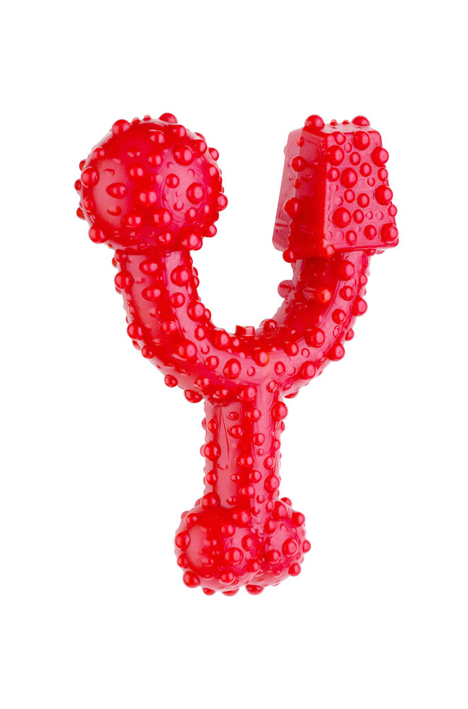 Tasty Bone Trio Bone  Jouet de bœuf Tasty Bone Trio Bone  Jouet de bœuf