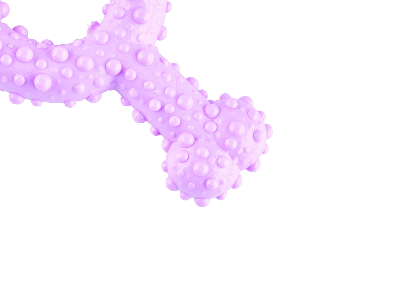 Tasty Bone Juguete de frambuesa y menta Dental Bone Trio Bone Tasty Bone Juguete de frambuesa y menta Dental Bone Trio Bone