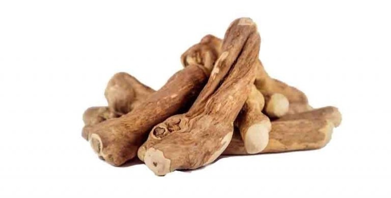 Coffee root top dog chew