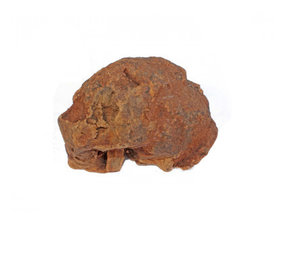 mypetworld Olivenbaum Kauwurzel 500-750gr mypetworld Olivenbaum Kauwurzel 500-750gr