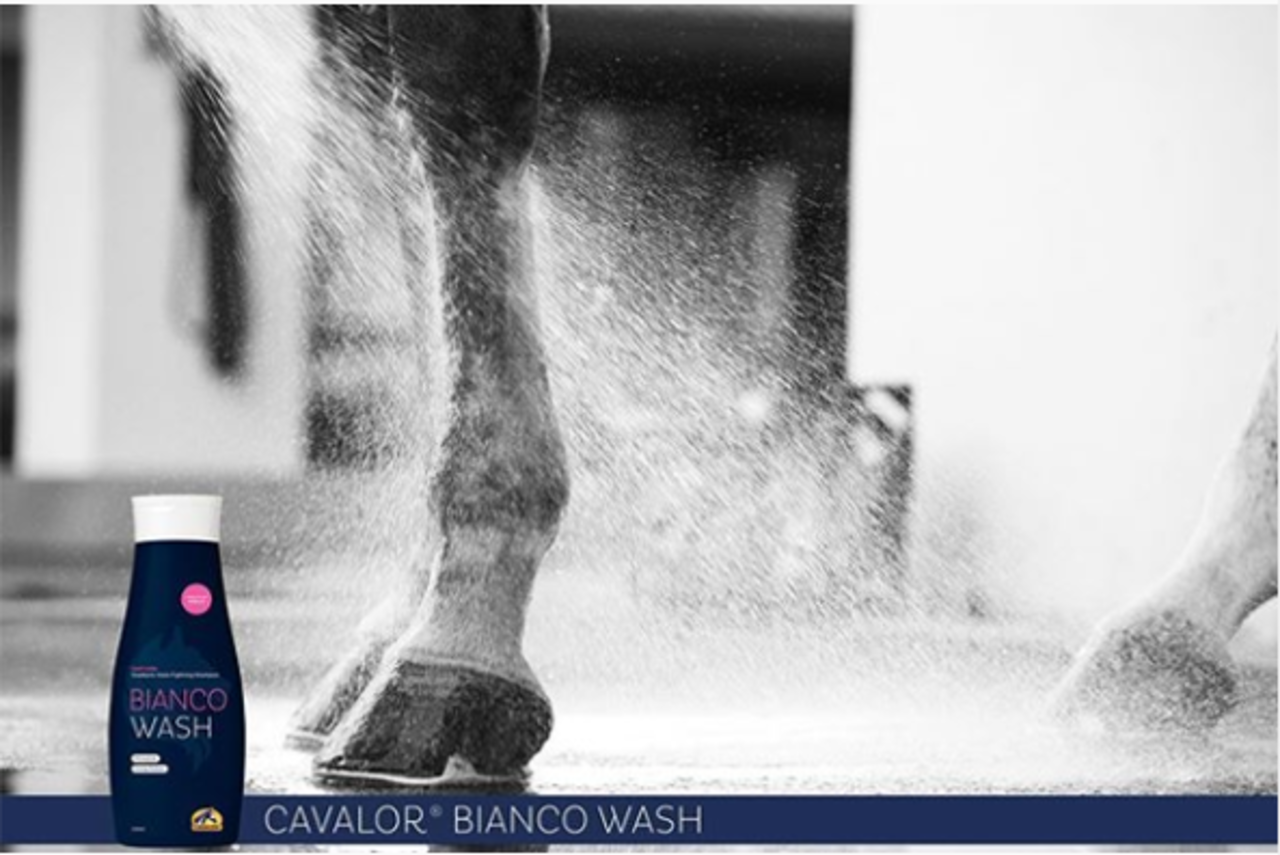 Cavalor Cavalor Bianco Wash 500 ml Cavalor Cavalor Bianco Wash 500 ml