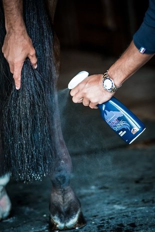 Cavalor Cavalor Star Shine Cavalor Cavalor Star Shine