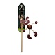 Papillon Pet Products Papillon Hengel met hond Papillon Pet Products Papillon Hengel met hond