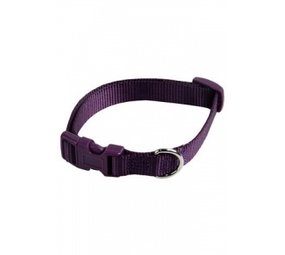 Papillon Pet Products Collier réglable en nylon de couleur violette Papillon Pet Products Collier réglable en nylon de couleur violette
