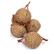 Tweetfeed Tweetfeed Mezenbol met meelwormen 1st Tweetfeed Tweetfeed Mezenbol met meelwormen 1st