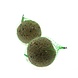 Tweetfeed Tweetfeed Mezenbol REUZE (480gr) 1st Tweetfeed Tweetfeed Mezenbol REUZE (480gr) 1st