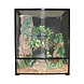 Komodo Komodo Chameleon Terrarium Flat Packed Komodo Komodo Chameleon Terrarium Flat Packed