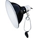 Komodo Komodo Dome Clamp Lamp Fixture Komodo Komodo Dome Clamp Lamp Fixture