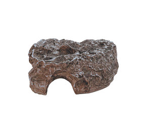 Komodo Komodo Rock Den Brown Komodo Komodo Rock Den Brown