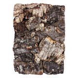 Komodo Komodo Cork Terrarium Background Natural