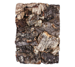 Komodo Komodo Cork Terrarium Background Natural