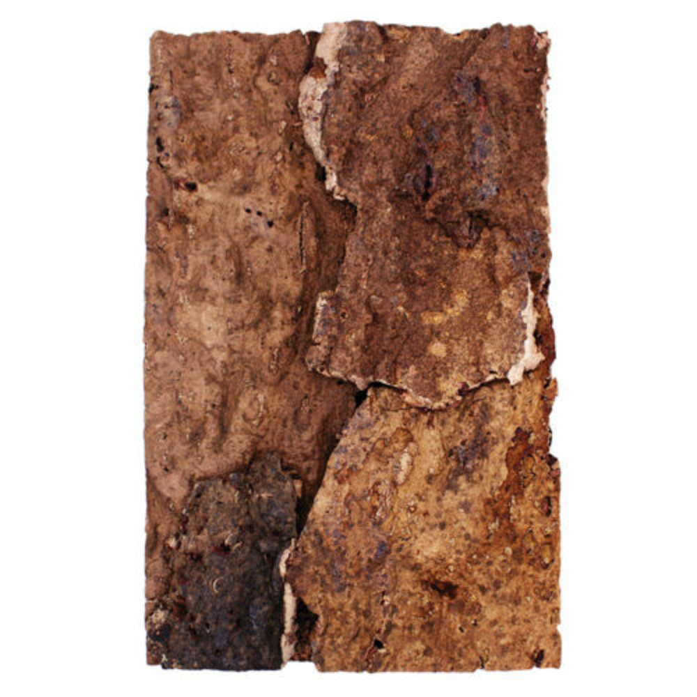 Komodo Komodo Cork Terrarium Background Desert Komodo Komodo Cork Terrarium Background Desert