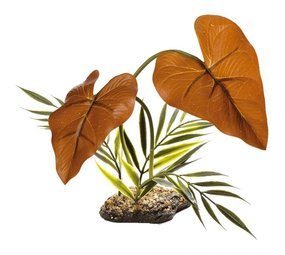 Komodo Komodo Rainforest Canopy 38cm