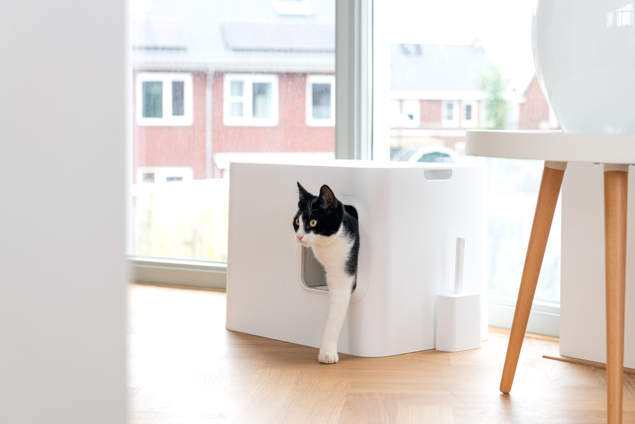 Hoopo Hoopo Dome Katzenklo Weiß Hoopo Hoopo Dome Katzenklo Weiß