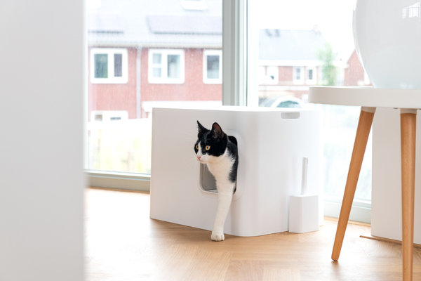 Hoopo Dome Cat Litter Box White Mypetworld