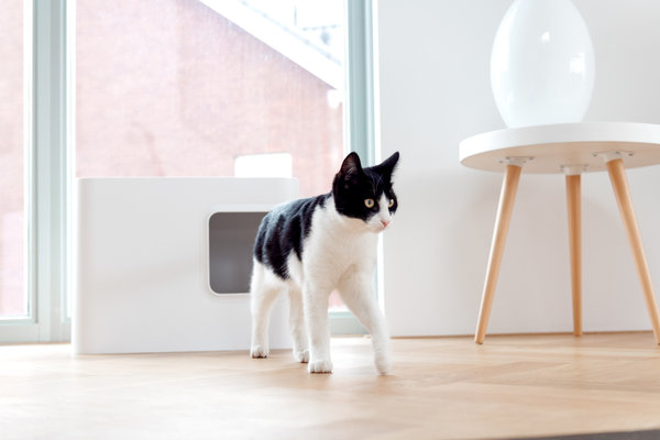 Hoopo Hoopo Dome Kattenbak Wit Hoopo Hoopo Dome Kattenbak Wit