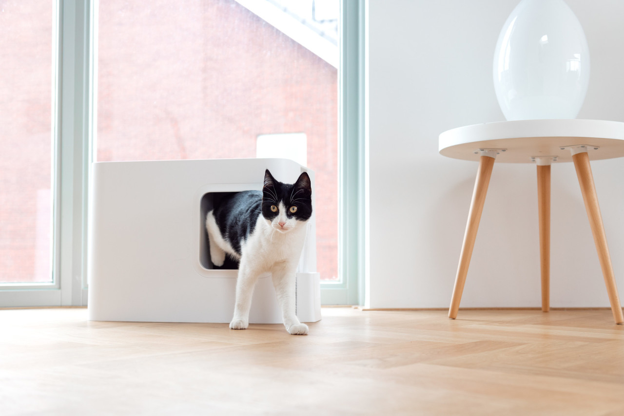 Hoopo Hoopo Dome Kattenbak Wit Hoopo Hoopo Dome Kattenbak Wit