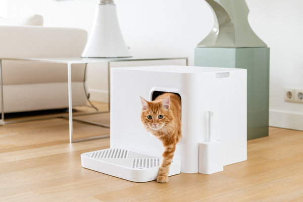 Hoopo Hoopo Dome Plus Litter Box White Hoopo Hoopo Dome Plus Litter Box White