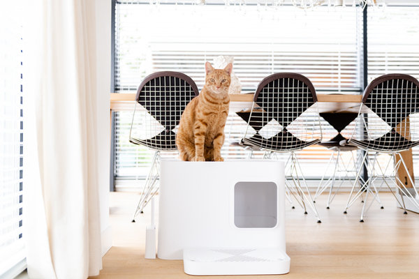 Hoopo Hoopo Dome Plus Litter Box White Hoopo Hoopo Dome Plus Litter Box White