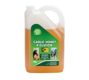 TRM TRM Knoblauch- und Glukosesirup 6 kg TRM TRM Knoblauch- und Glukosesirup 6 kg